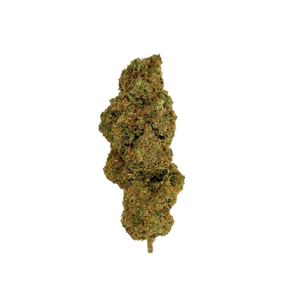 MANGO HAZE